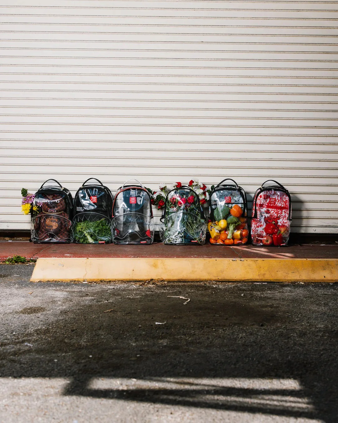 CLEAR BEAR DLX BACKPACK - Image 12