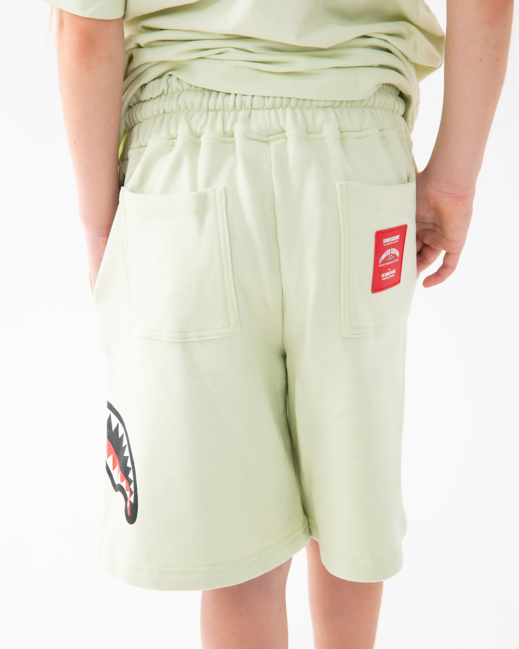 SHARK BASIC SHORTS SAGE - Image 3